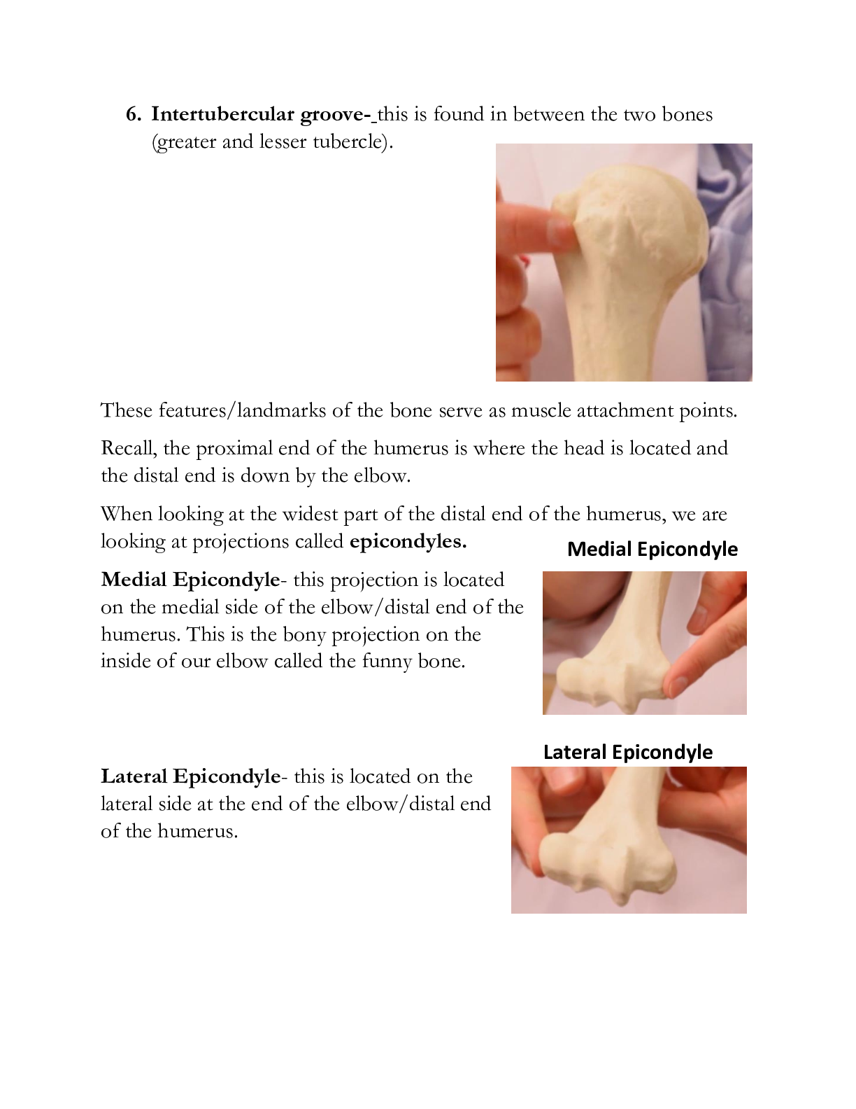 Preview image of Module 4 Lab notes Feb 2024 document