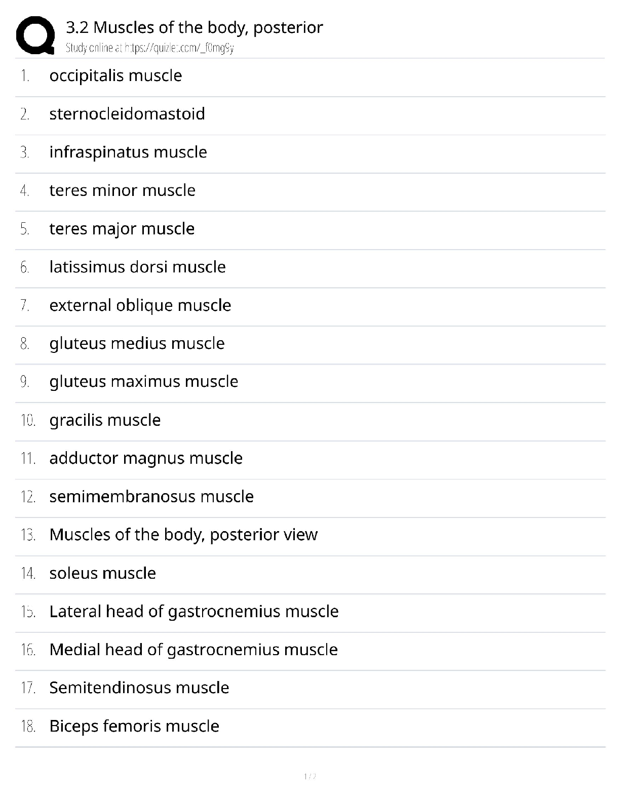 Recommended document preview for Muscles of the Body Posterior / Anatomy & Physiology Guide / 2025 Update / Score 100%