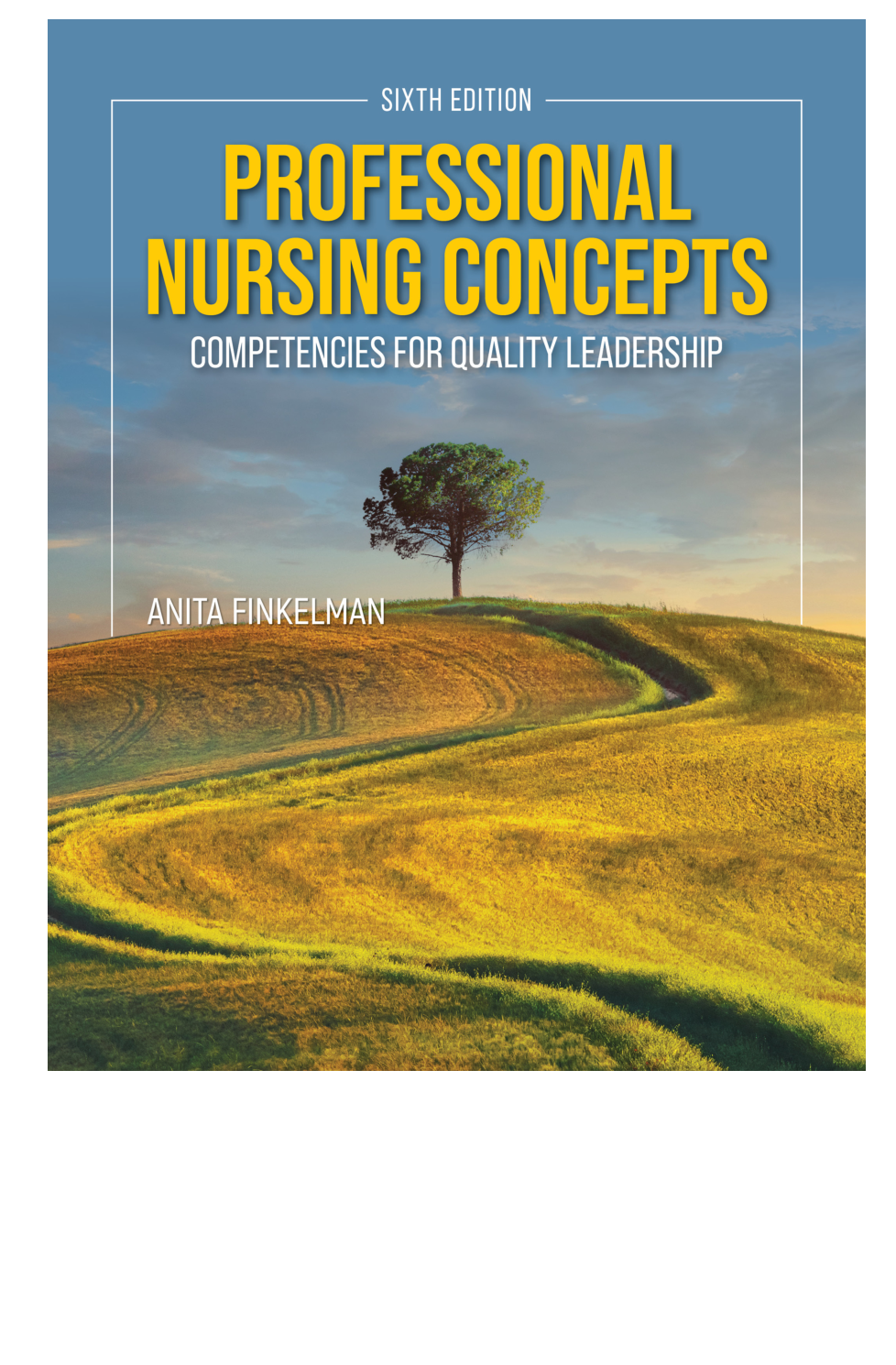 Recommended document preview for [eBook] [PDF] Professional Nursing Concepts Competencies for Quality Leadership 6th Edition By Anita Finkelman