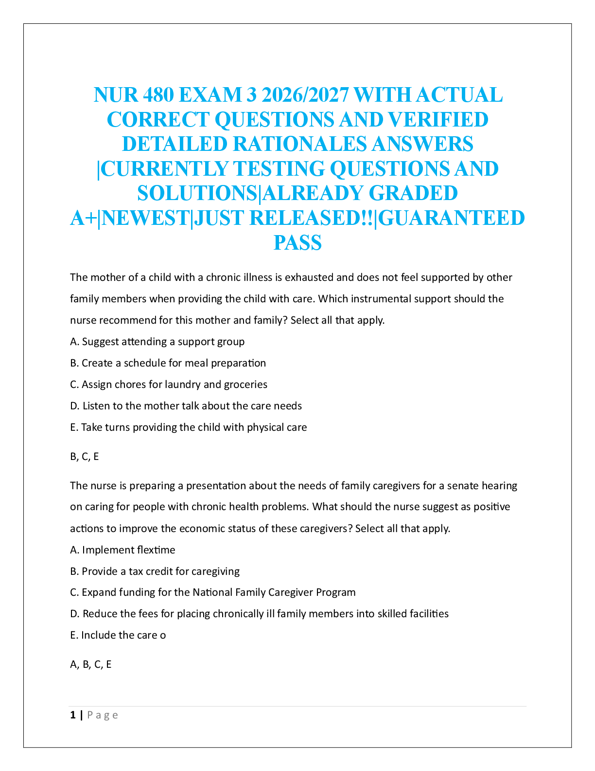 Preview image for NUR 480 EXAM 3 2026/2027