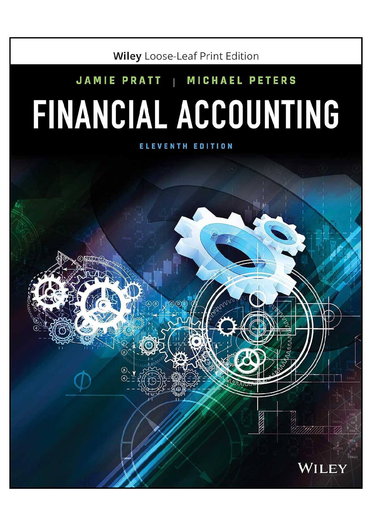 Preview image for Solution manual For Financial Accounting in an Economic Context, 11th Edition by Jamie Pratt