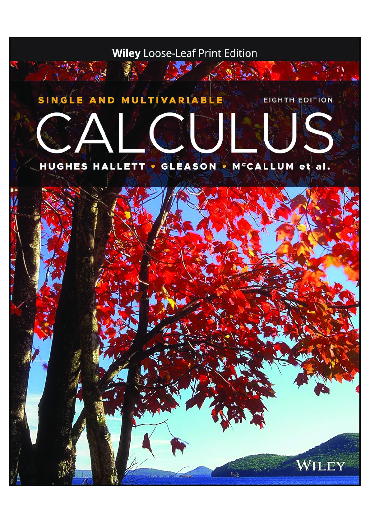 Preview image for Solution manual For College Accounting 1st Edition by Jerry J. Weygandt