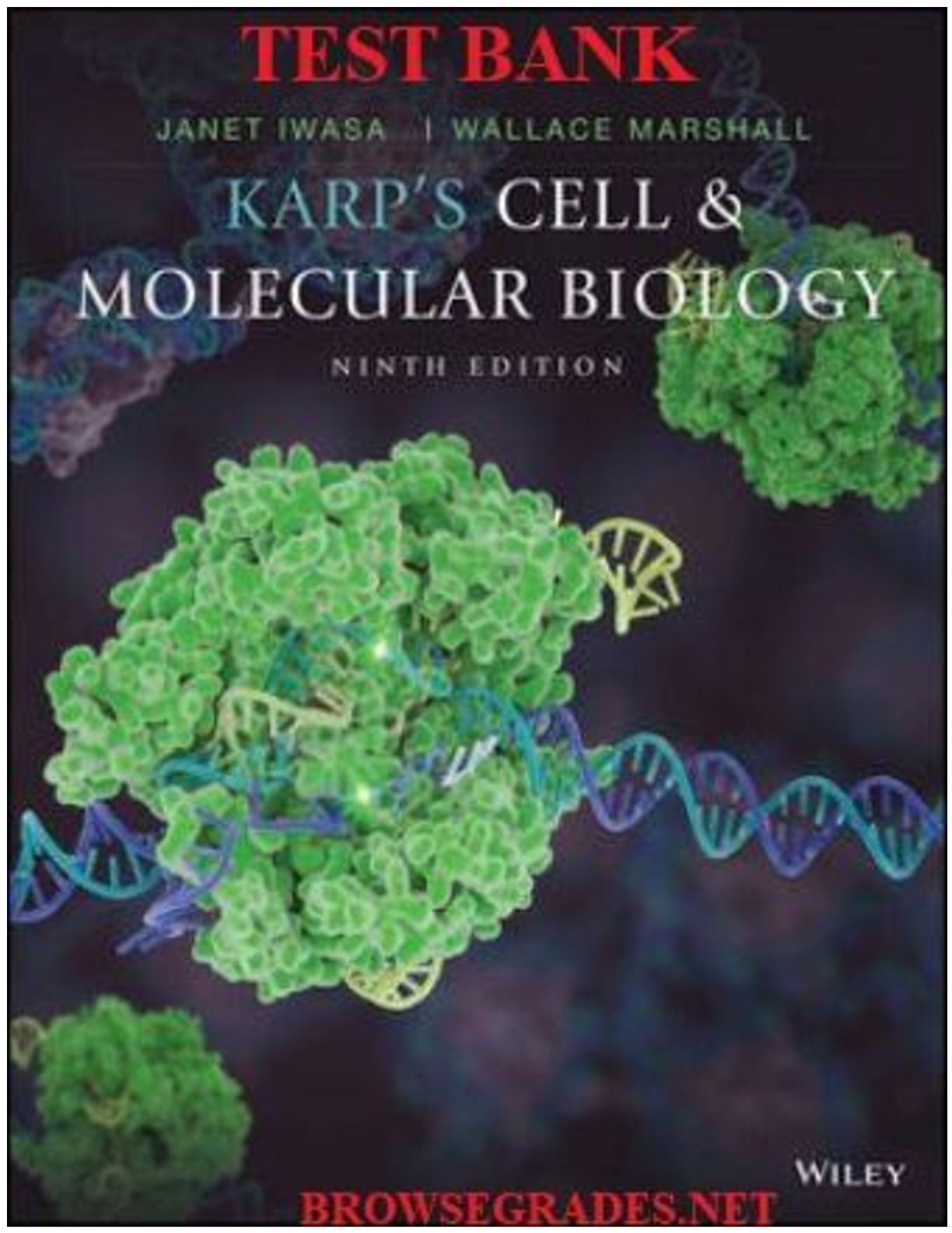 Preview of Karp’s Cell And Molecular Biology 9th Edition Gerald Karp TEST BANK