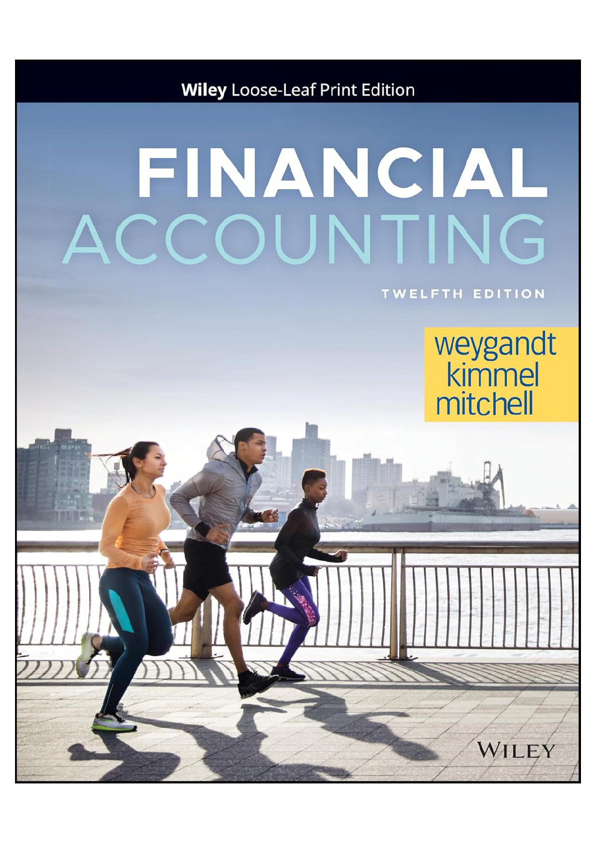 Preview image for Solution manual For Financial Accounting 12e Weygandt