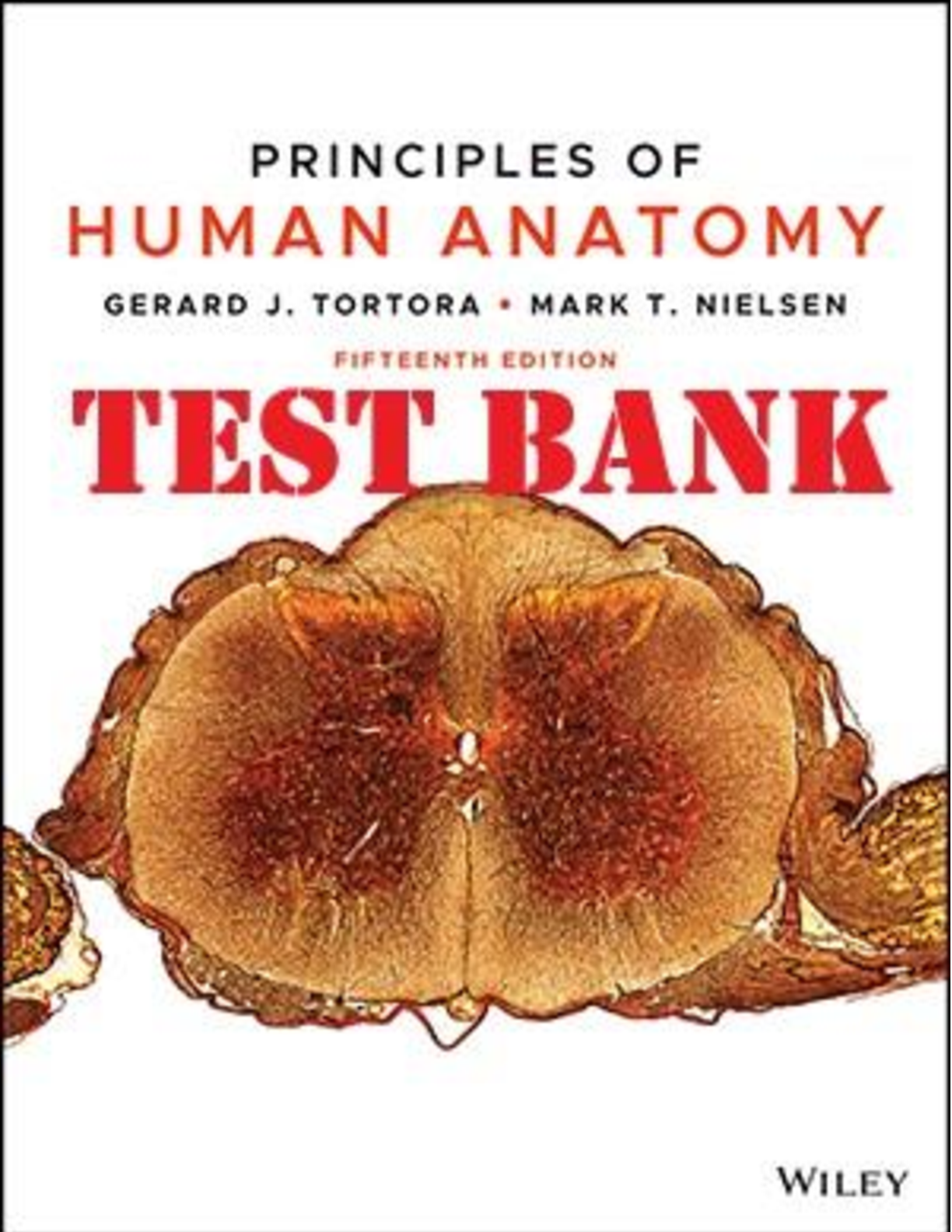 Preview image for Principles of Human Anatomy 15th Edition By Gerard J. Tortora, Mark Nielsen TEST BANK