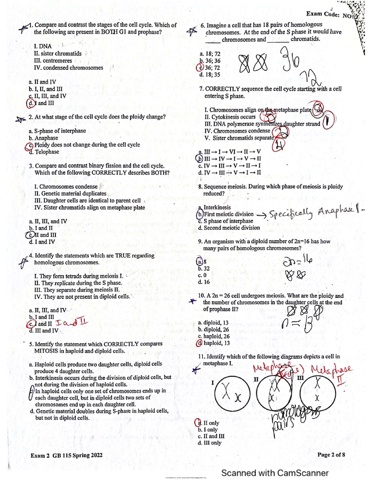 General Biology 115 / Exam 2 Study Guide / Stern-Cardinale   2025 Update