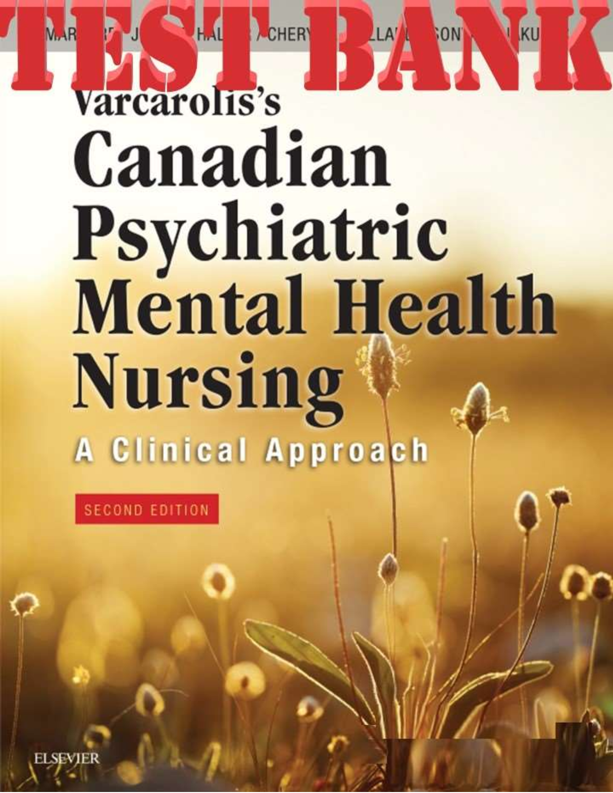 Preview image for Varcarolis’s Canadian Psychiatric Mental Health Nursing A Clinical Approach 2nd Edition By Halter TEST BANK