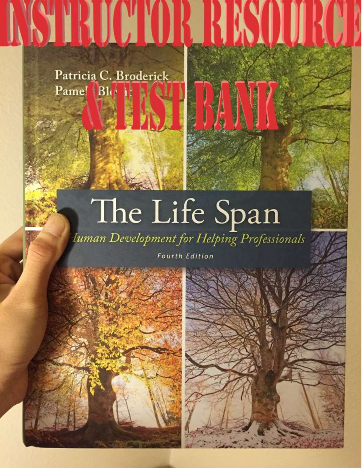 Preview image for The Lifespan Human Development For Helping Professionals 4th Edition By Patricia C. Broderick, Pamela Blewitt TEST BANK