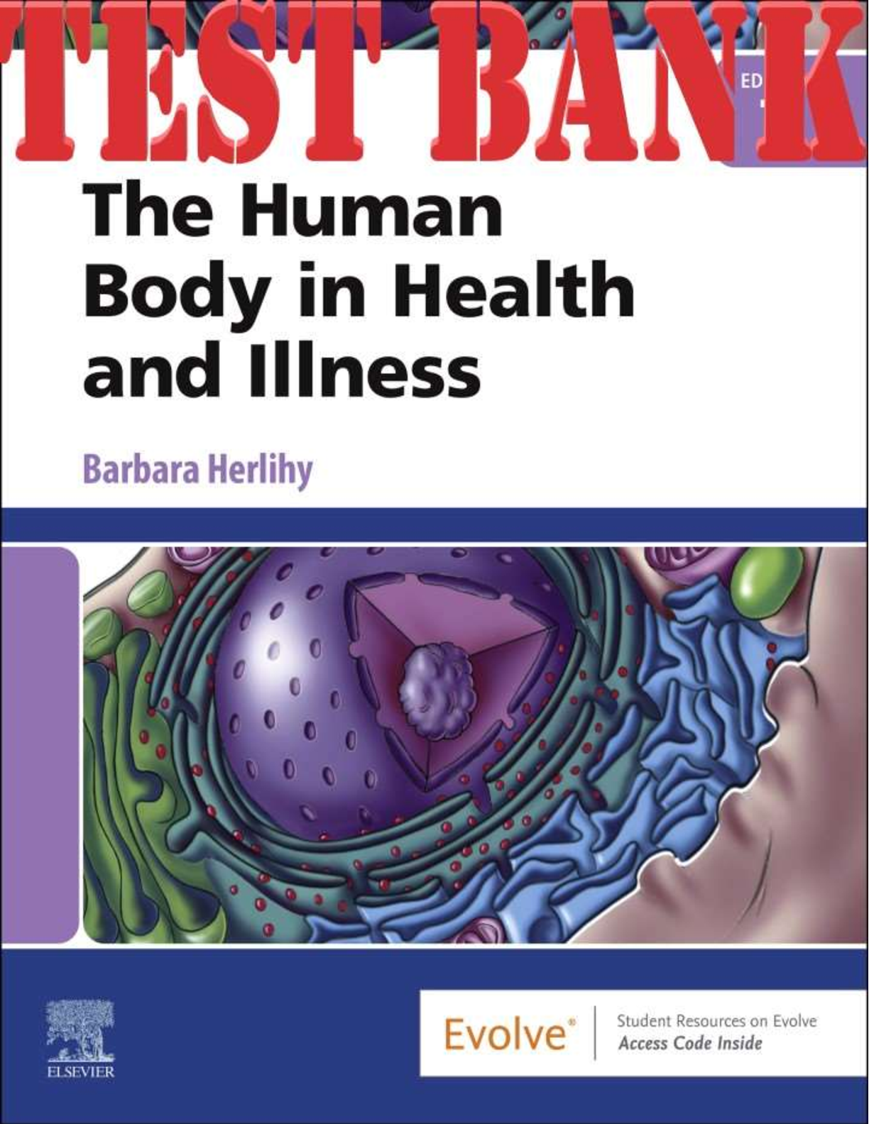 Preview image for The Human Body In Health And Illness 7th Edition By Barbara Herlihy TEST BANK