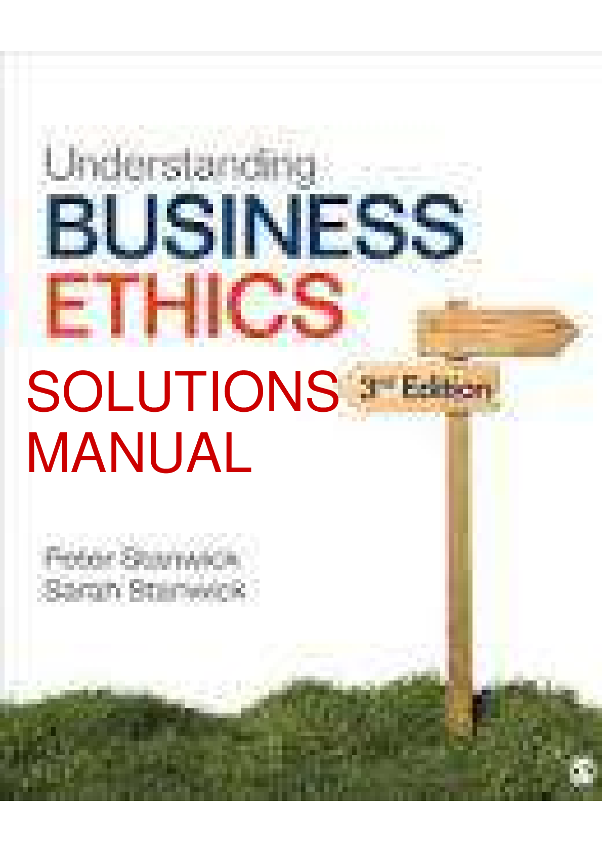 Preview image for Understanding Business Ethics 3rd Edition By Peters A. Stanwick Chapter 1_13 SOLUTIONS MANUAL