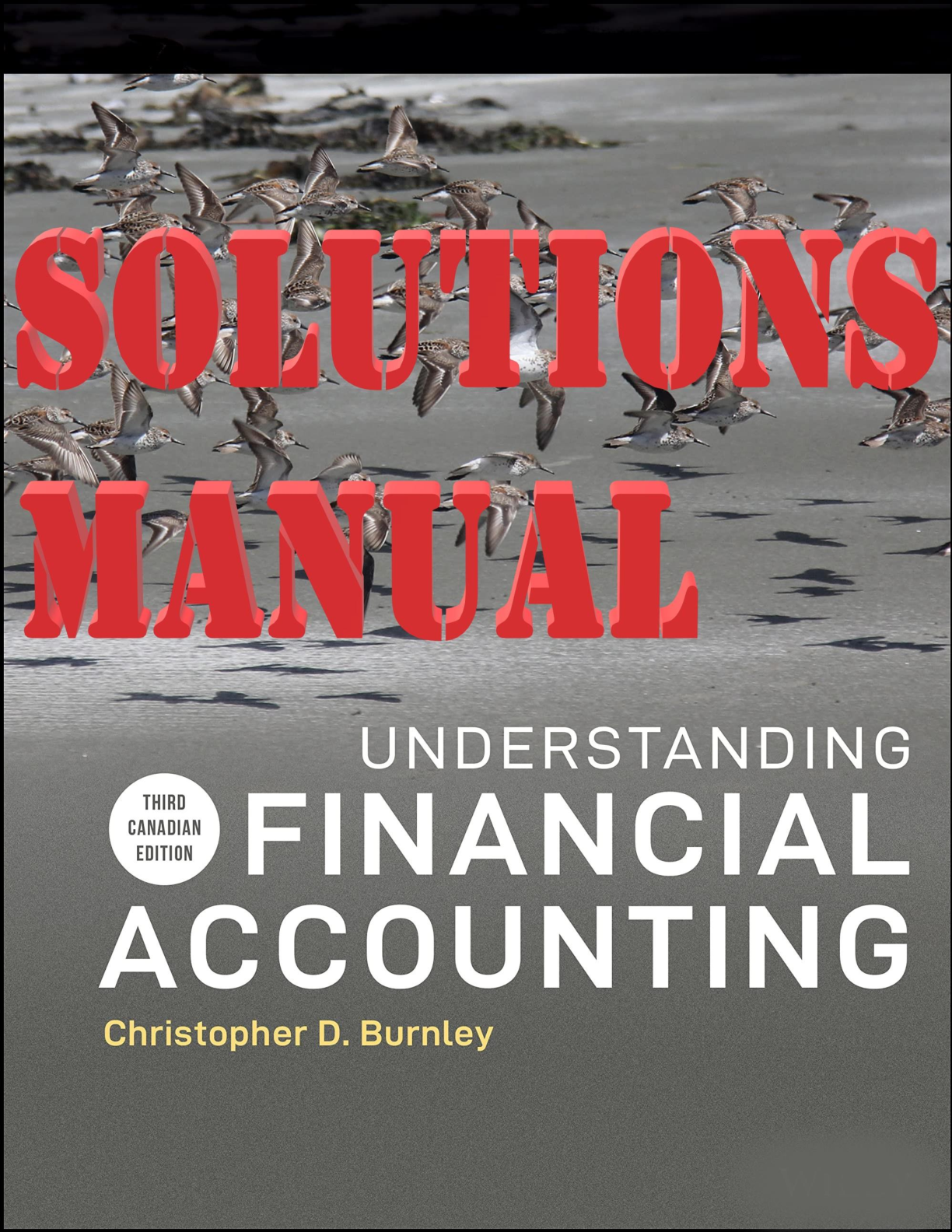 Preview image for Understanding Financial Accounting 3rd Canadian Edition By Christopher D. Burnley TEST BANK
