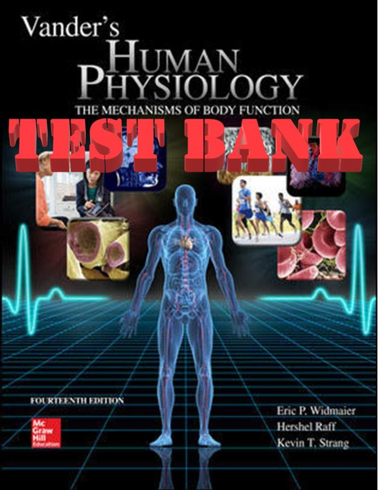 Preview image for Vanders Human Physiology The Mechanisms of Body Function 14th Edition Widmaier, Raff, Strang TEST BANK