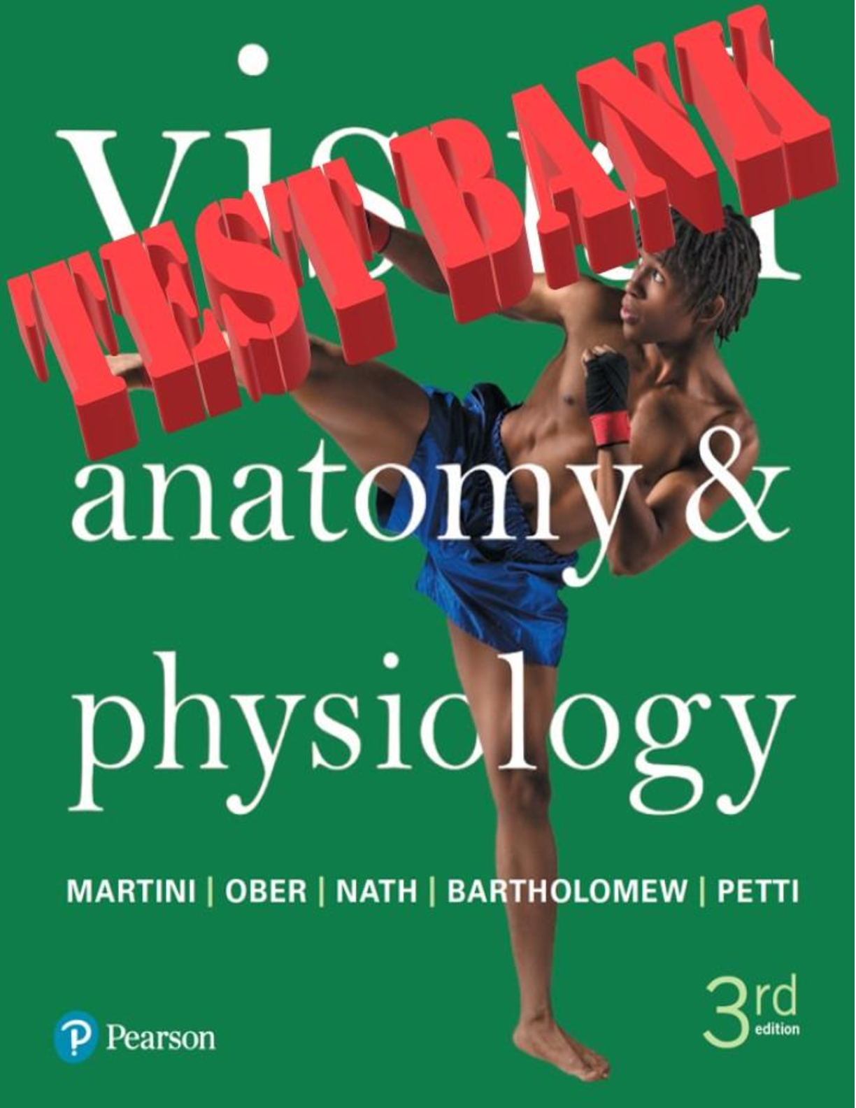 Preview image for Visual Anatomy And Physiology 3rd Edition By Martini, Ober, Nath, Batholomew, petti TEST BANK