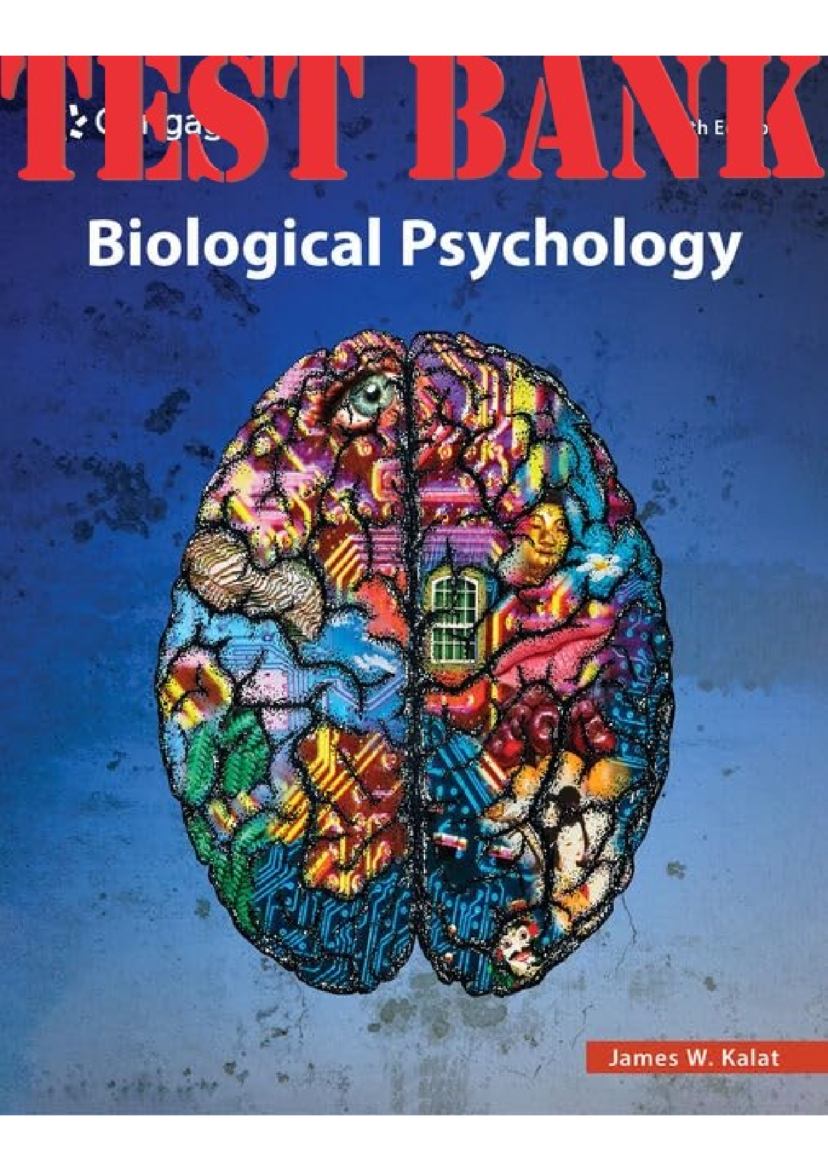 Preview image for Biological Psychology 14th Edition By James W. Kalat TEST BANK