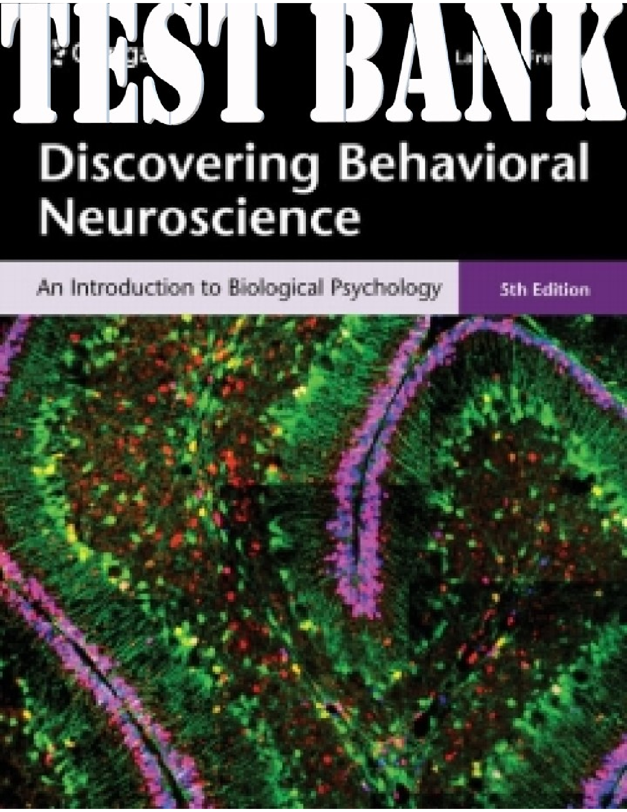 Preview image for Discovering Behavioral Neuroscience, An Introduction To Biological Psychology 5th Edition By Laura Freberg TEST BANK