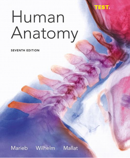 Preview image for Test Bank Human Anatomy 7th Edition by Marieb 2014 Chapter 1-25 All Chapters A+