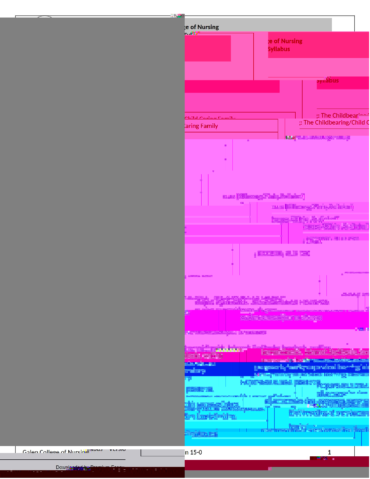 Preview image for NUR 230 Concepts of Nursing: Caring for Families – Syllabus & Course Overview"