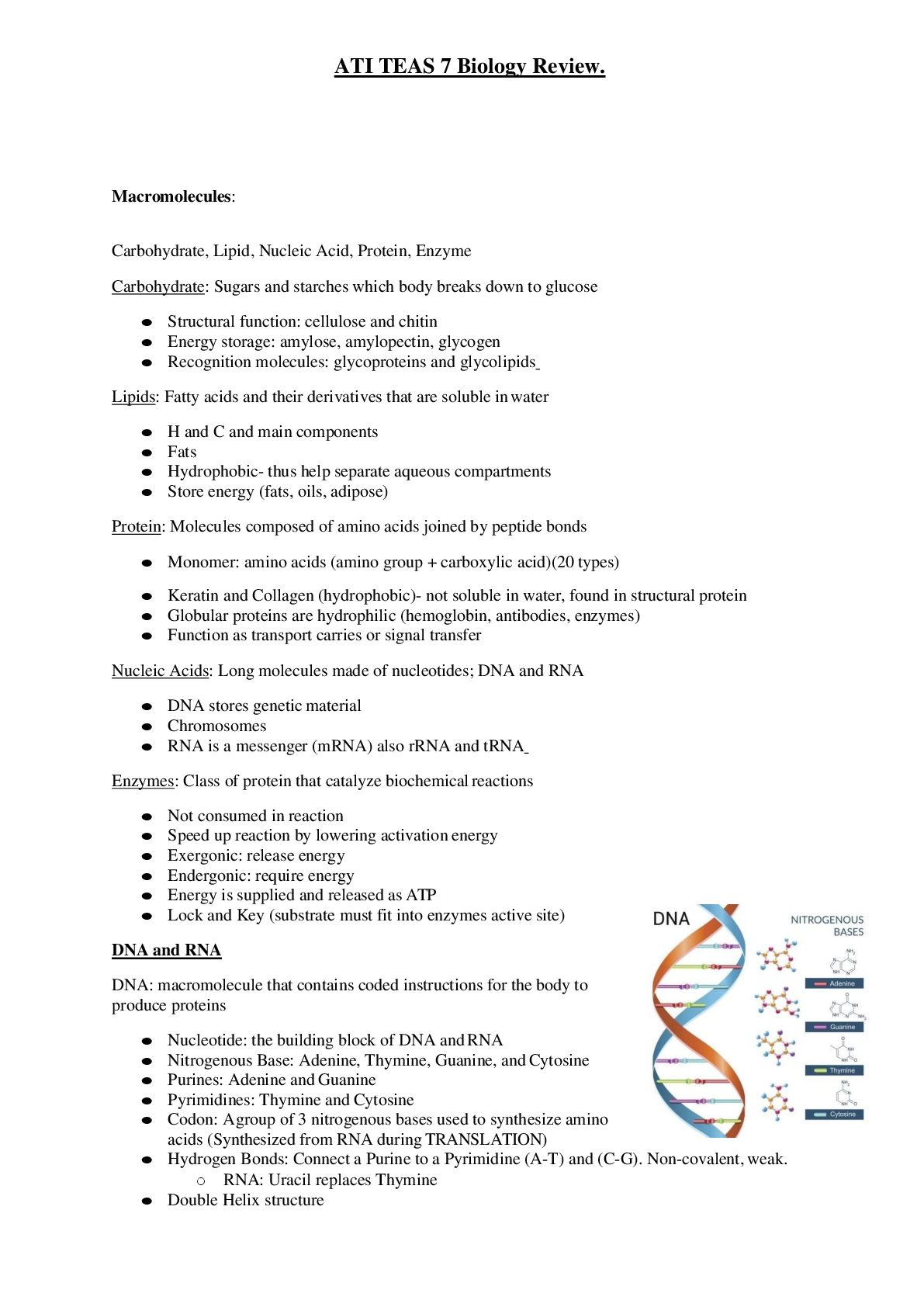 Preview image for ATI TEAS 7 Biology Review.
