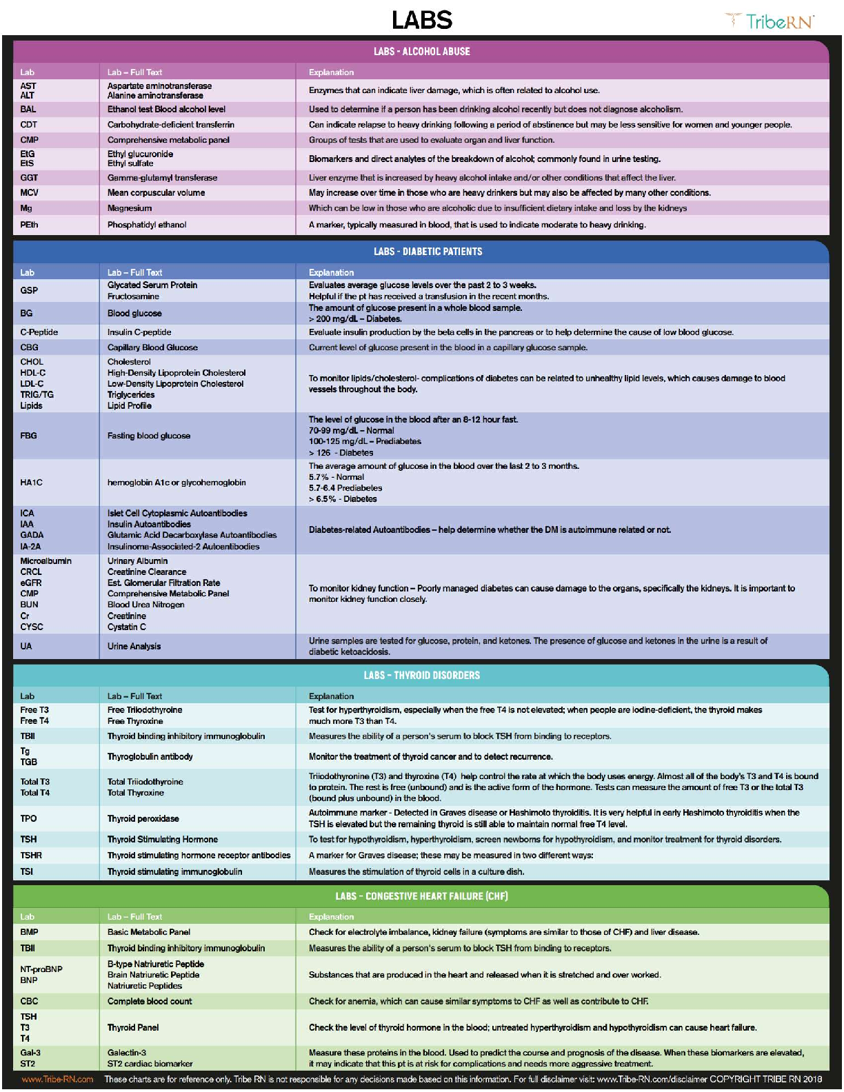 Preview of NURS 304 / Foundations of Nursing Practice / NCLEX Study Guide & Quick Notes / 2025 Update