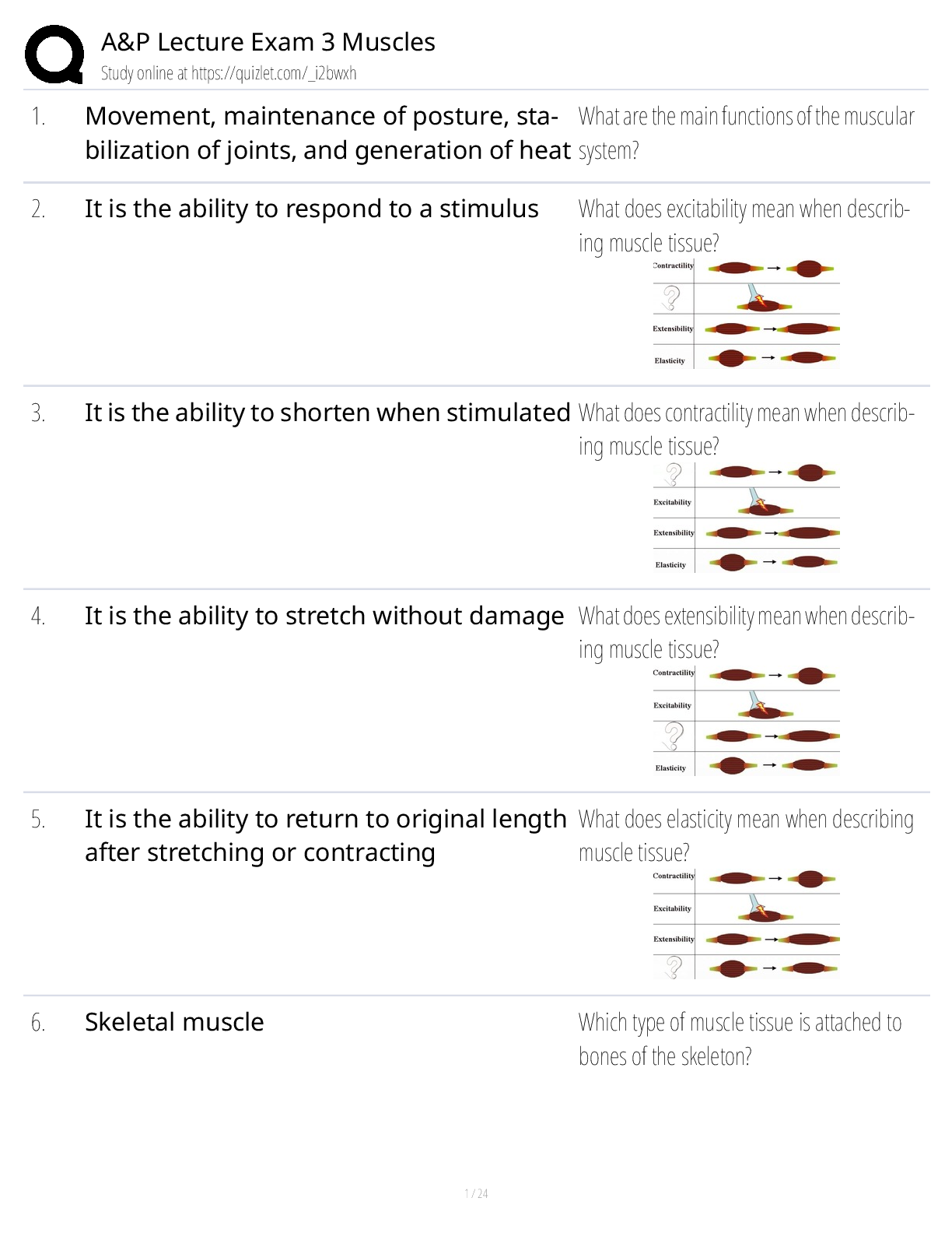 Preview image for A&P Lecture Exam 3 – Muscles | Class Notes, Study Guide & Test Bank (Muscular System Prep)