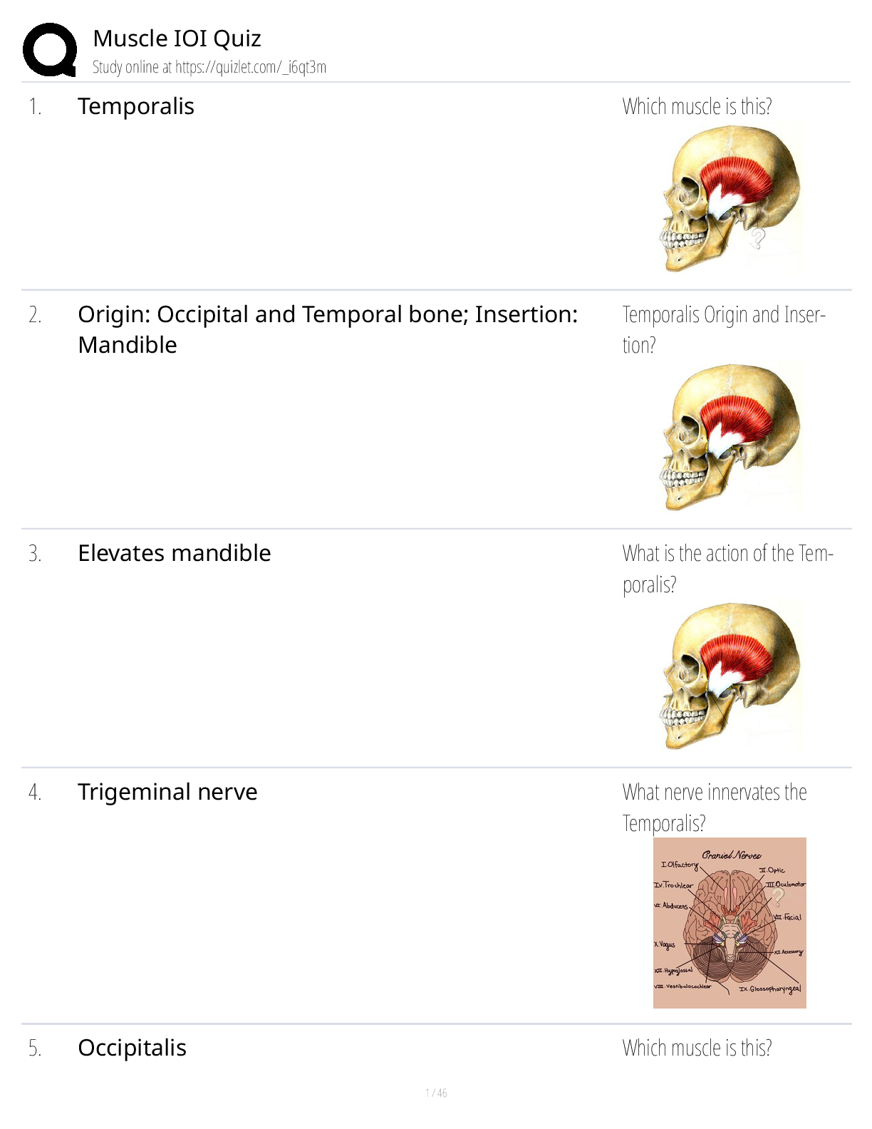 Preview image for Muscle IOI Quiz — Class Notes, Study Guide & Test Bank (Origins, Insertions & Actions)