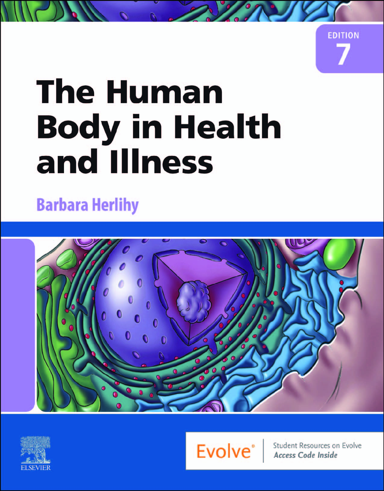 eBook The Human Body in Health and Illness 7th Edition By Barbara Herlihy
