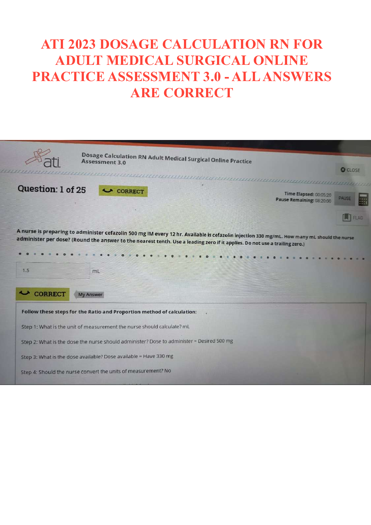document-preview