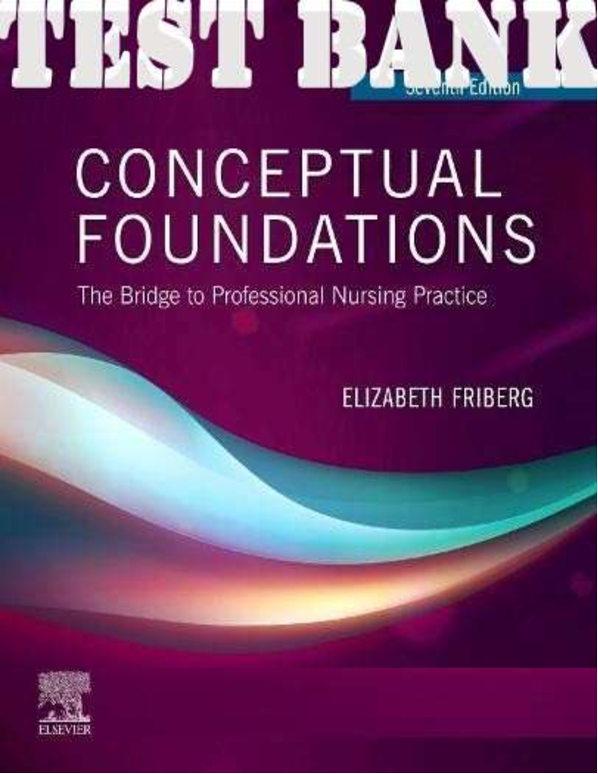 Preview of Conceptual Foundations The Bridge To Professional Nursing Practice 7th Edition By Elizabet