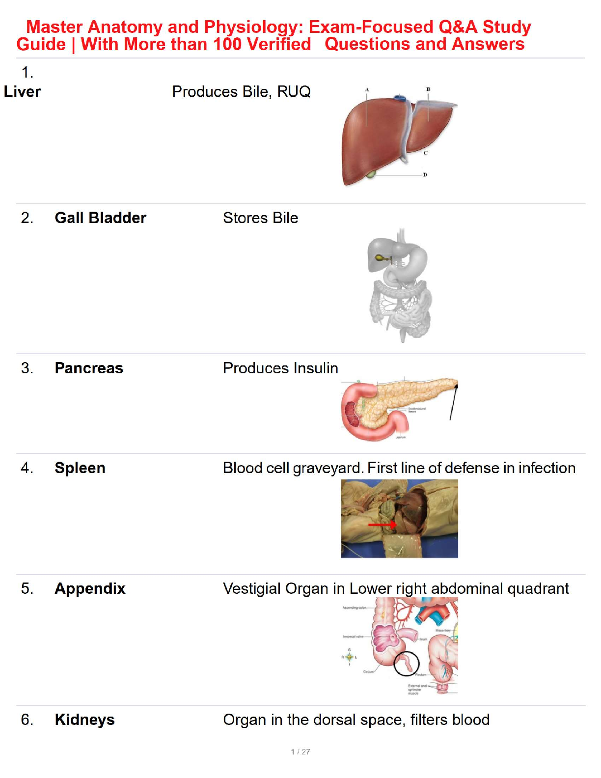 Master Anatomy and Physiology: Exam-Focused Q&A Study Guide