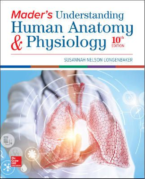 Test Bank for Mader's Understanding Human Anatomy & Physiology,10th Edition by Longenbaker A+