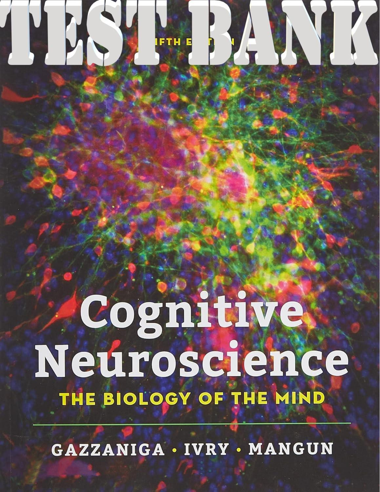 Preview image for Cognitive Neuroscience The Biology Of The Mind 5th Edition By Gazzaniga, Ivry, Mangun TEST BANK