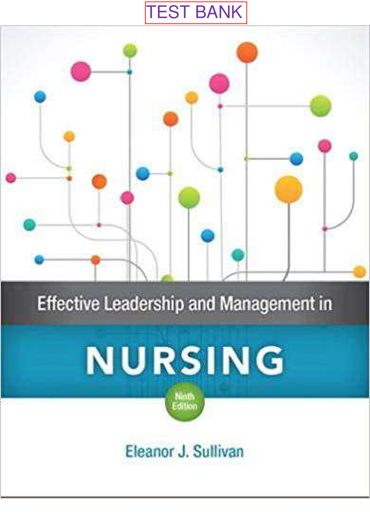 Preview image for Effective Leadership And Management In Nursing 9th Edition By Eleanor J. Sullivan TEST BANK