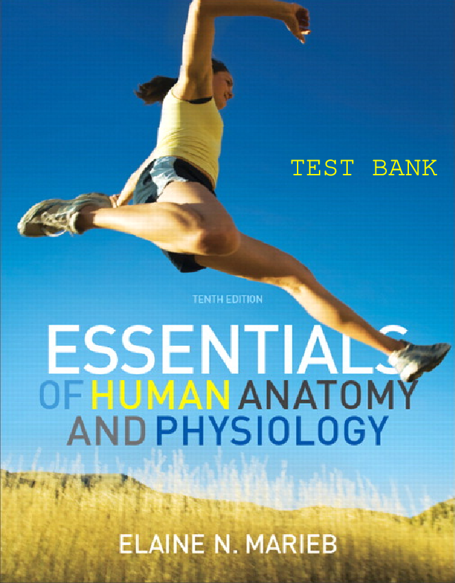 Preview image for Marieb-Essentials-Of-Human-Anatomy-Physiology-10Th-Test-Bank-Nclex-Resources (1)