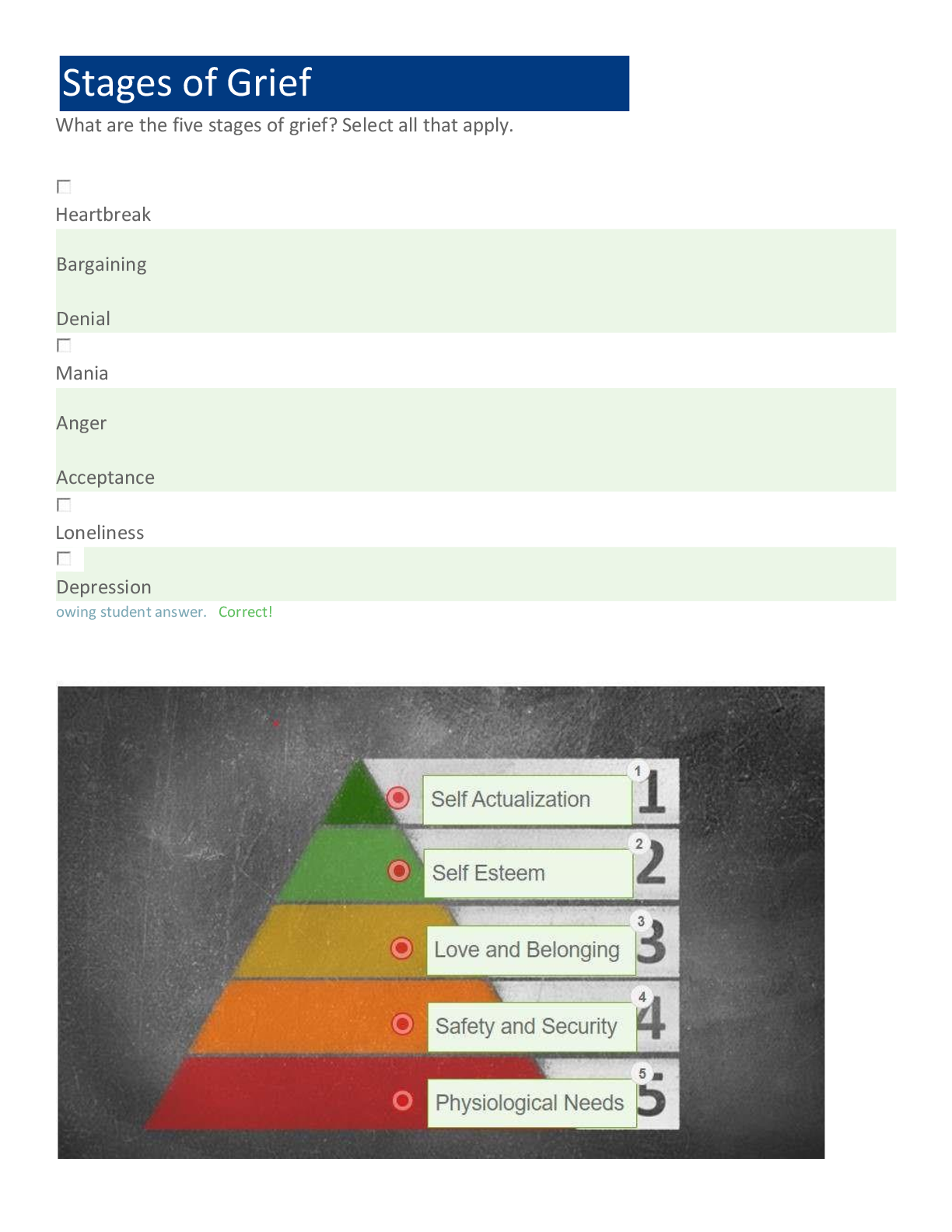 Preview image for Mental-Health Nursing (NR-320) Edapt