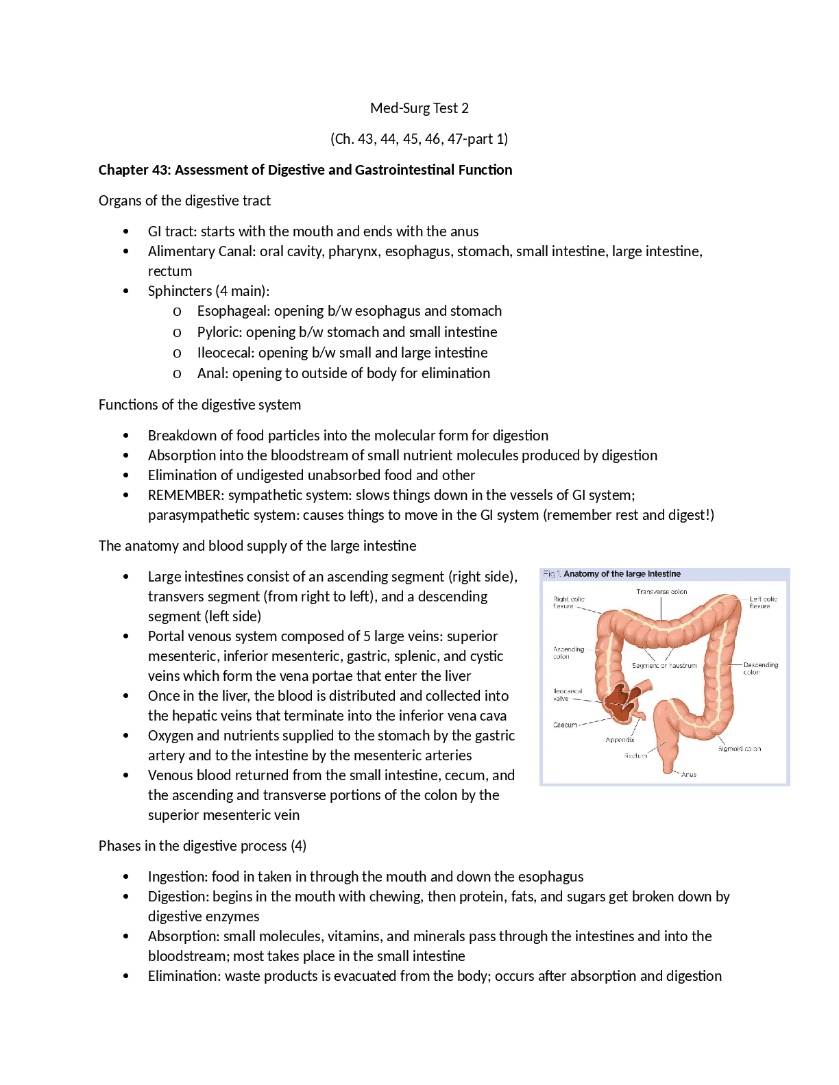 Preview image for Med_surg_study_guide_test_2 2023