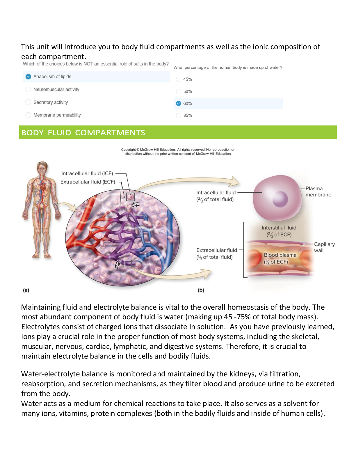 Preview image for BIO 256 Anatomy and physiology 4  EDAPT Fluids