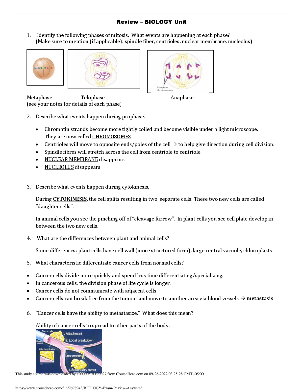 Preview image for BIOLOGY_Exam_Review___Answers