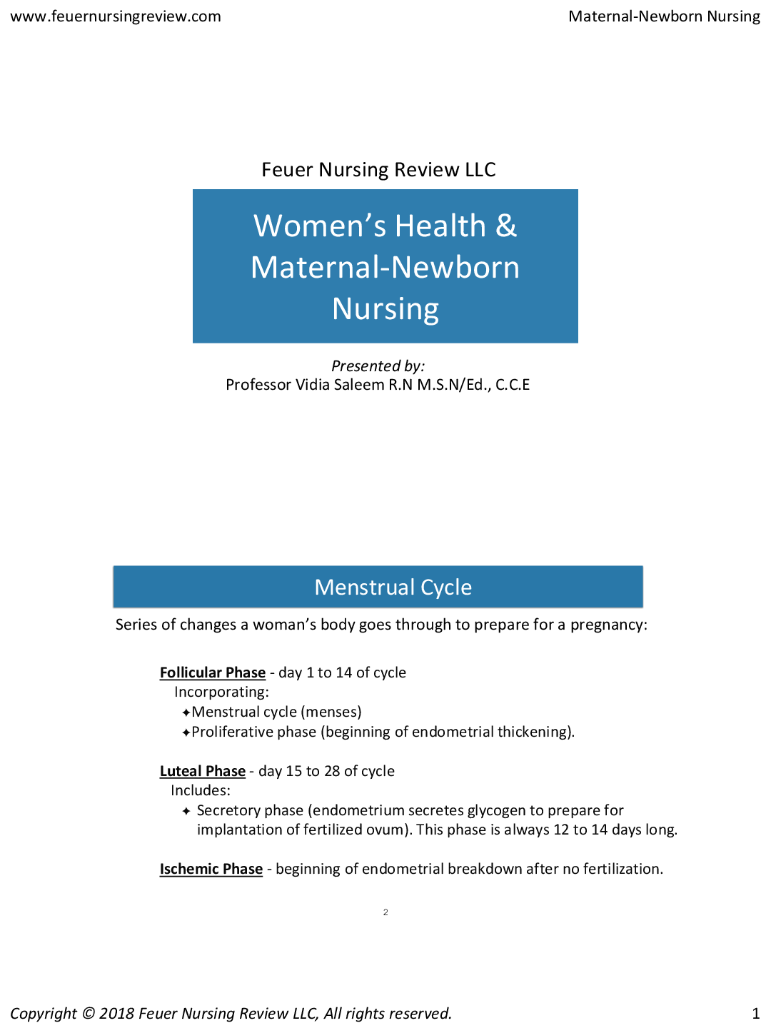 Preview image for Maternal-Newborn-Nursing-Handout