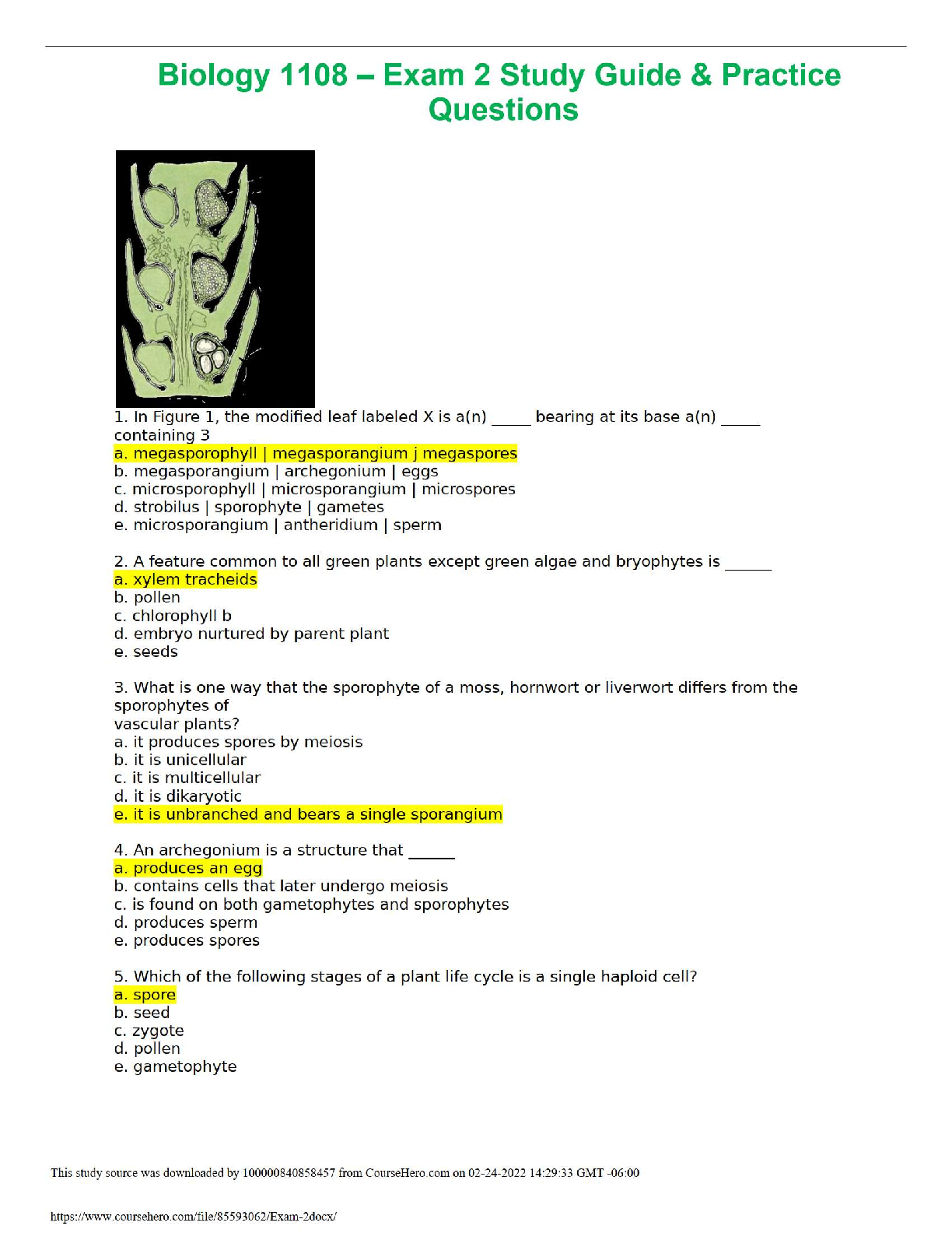 🧪 Biology 1108 – Exam 2 Study Guide & Practice Questions 🌱