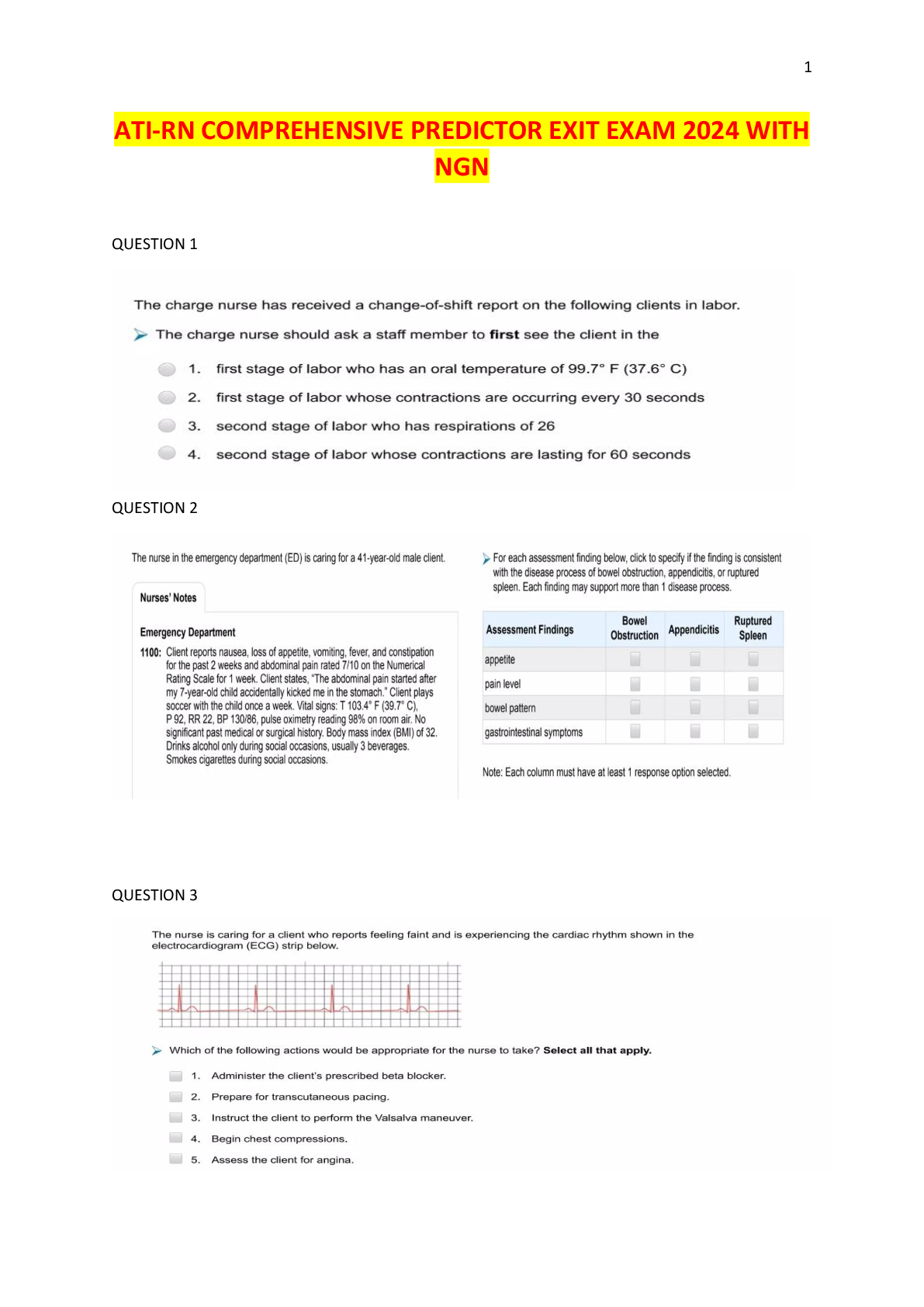 Preview image for ati-rn-comprehensive-predictor-exit-exam|Best for 2025 ngn