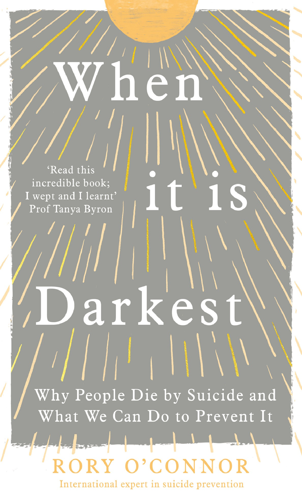 Preview of eBook When It Is Darkest Why People Die by Suicide and What We Can Do to Prevent It By Ror