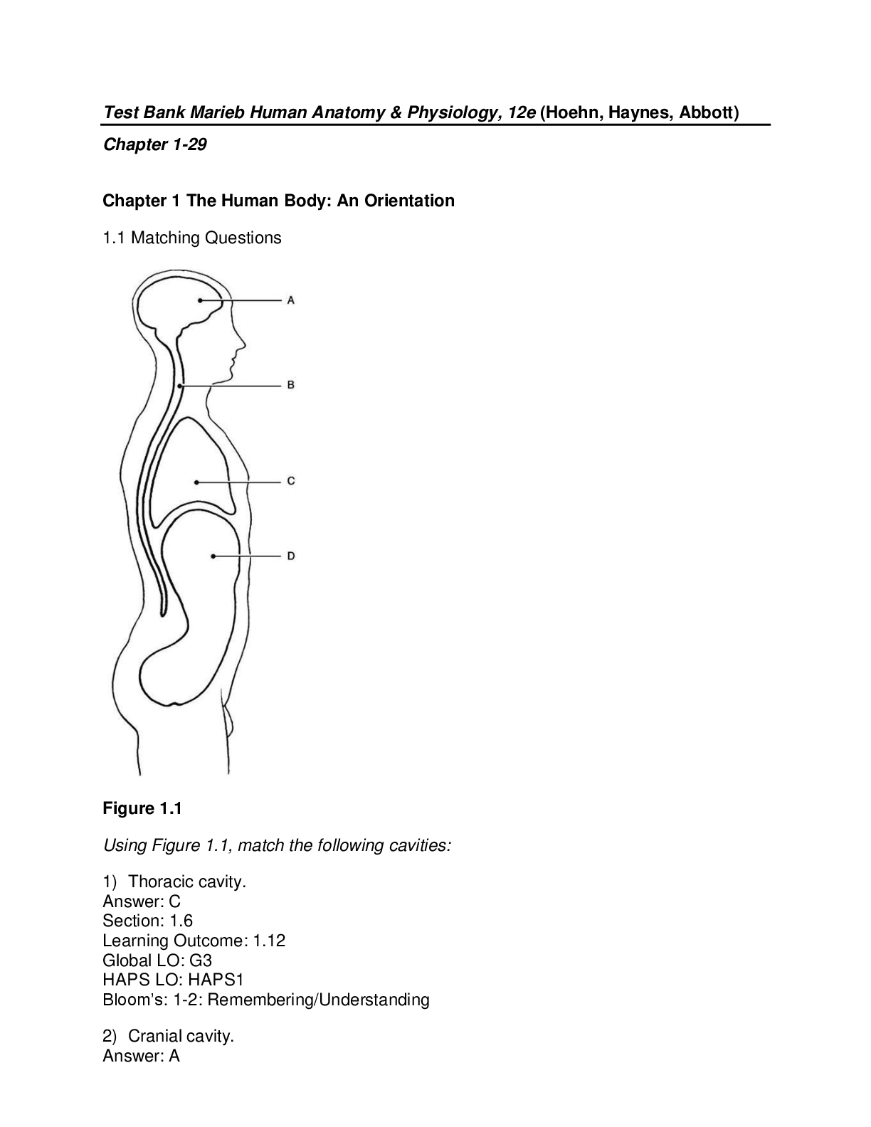 Preview image for Test Bank for Marieb Human Anatomy & Physiology, 12th edition Katja Hoehn Lawrence W. Haynes Matthew A. Abbott