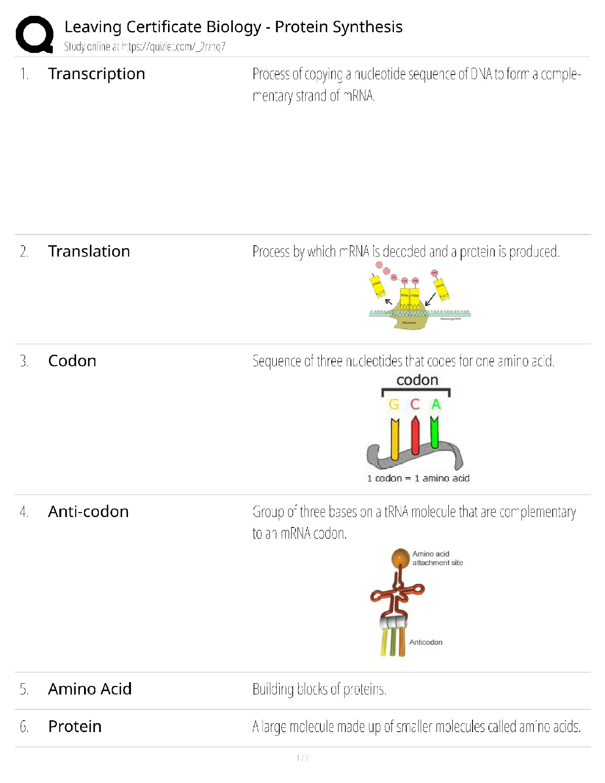 Leaving Certificate Biology - Protein Synthesis / Exam Guide & Test Bank / 2025 Update / Score 100%