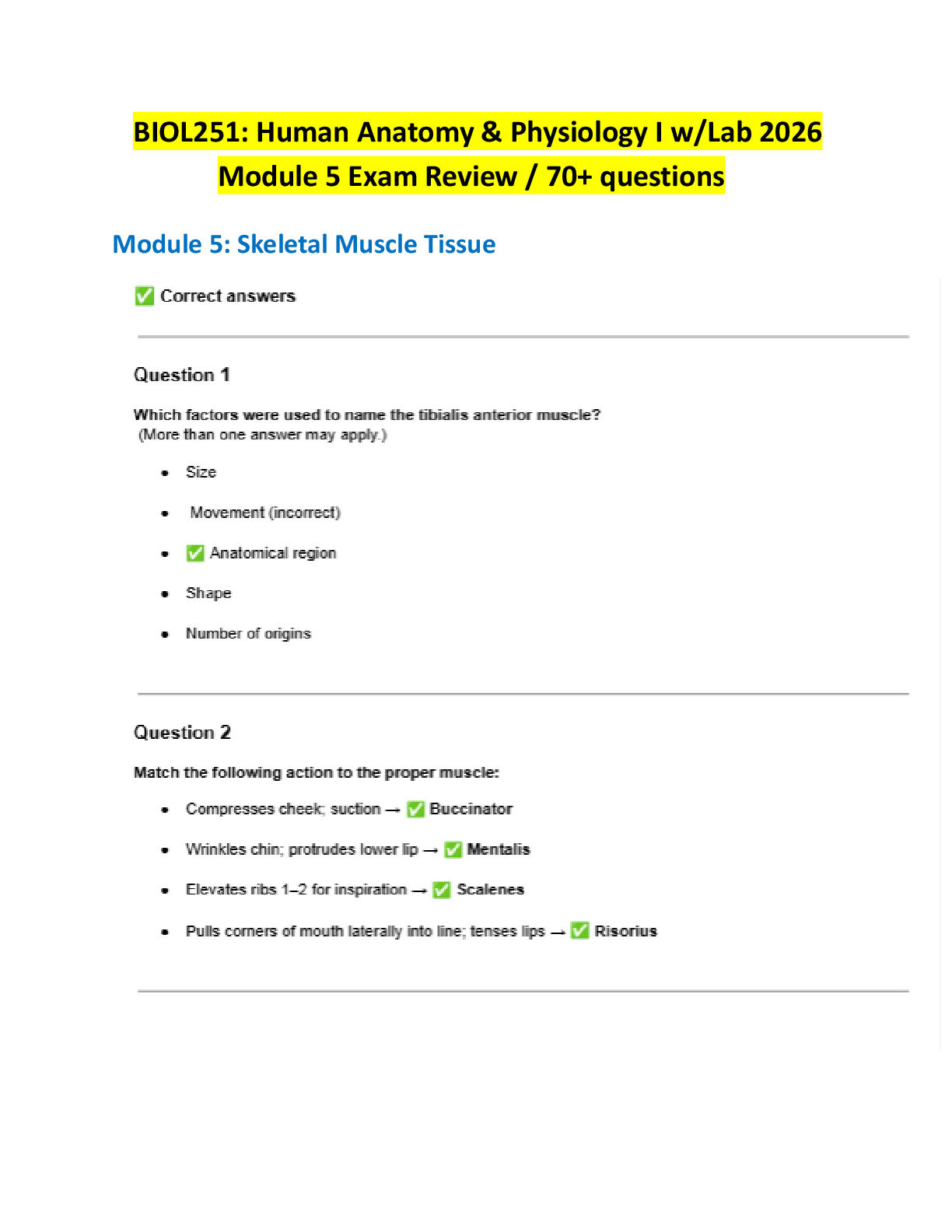 Preview image for BIOL251: Human Anatomy & Physiology I w/Lab 2026  Module 5 Exam Review / 70+ questions