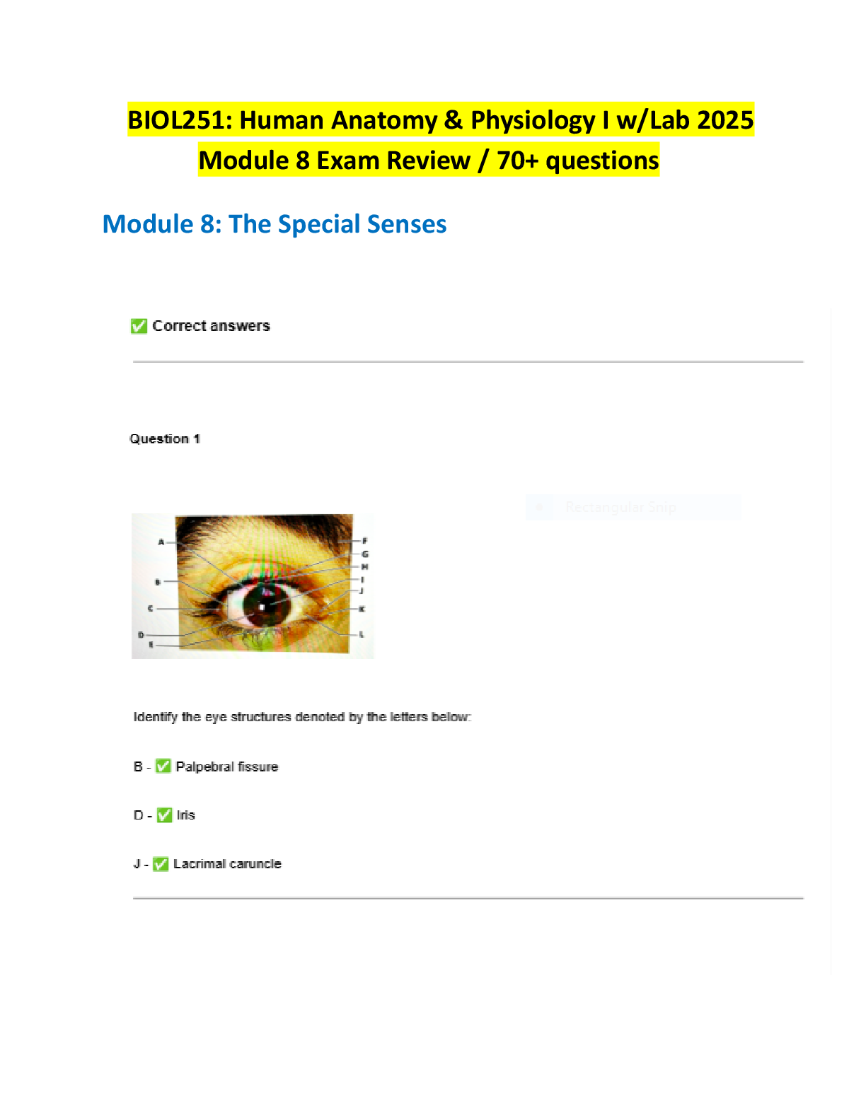 Preview image for BIOL251: Human Anatomy & Physiology I w/Lab 2025  Module 8 Exam Review / 70+ questions