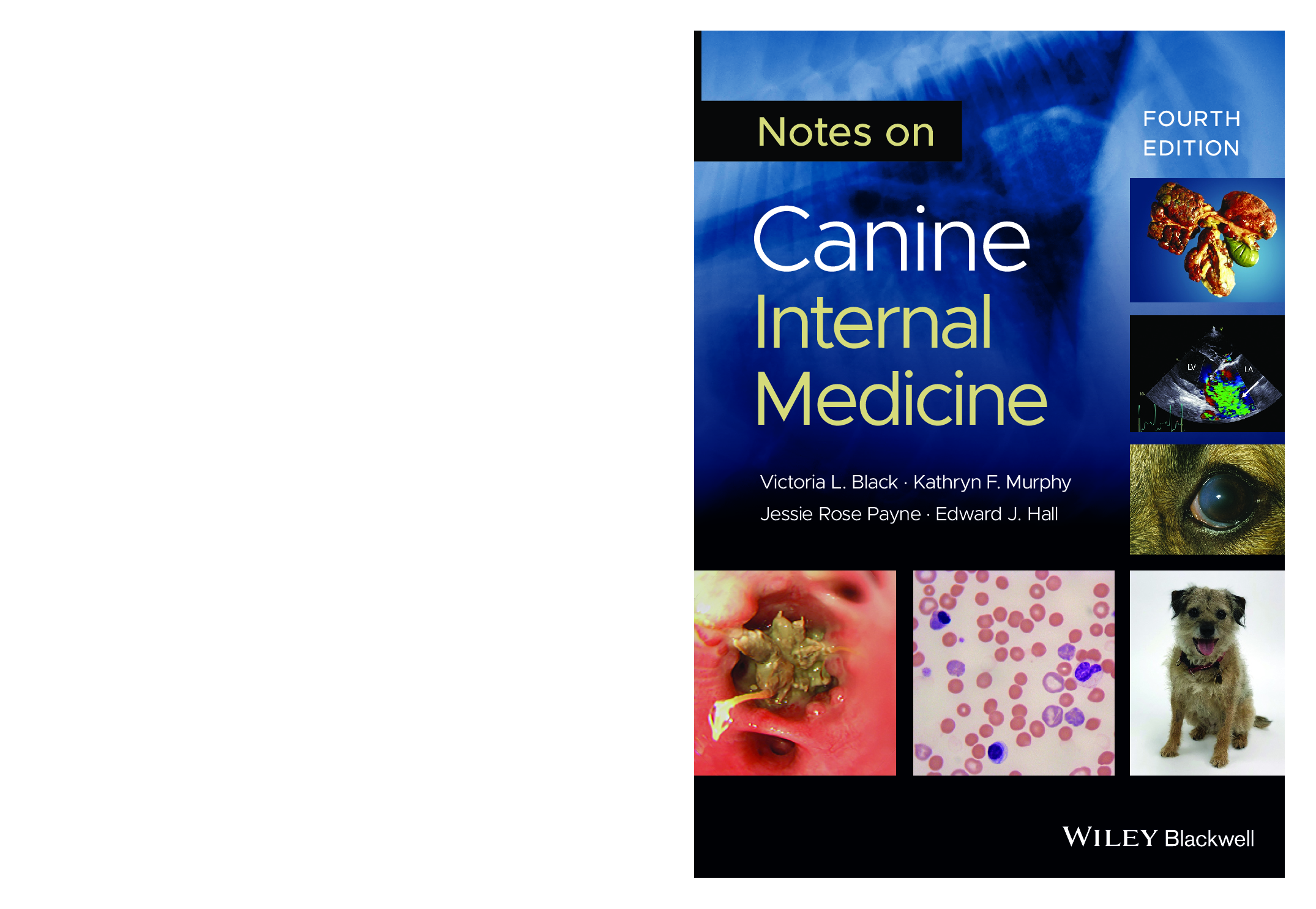Preview image for [eBook] [PDF]  Notes on Canine Internal Medicine 4th Edition By Victoria L. Black_ Kathryn F. Murphy_ Jessie Rose Payne_ Edward