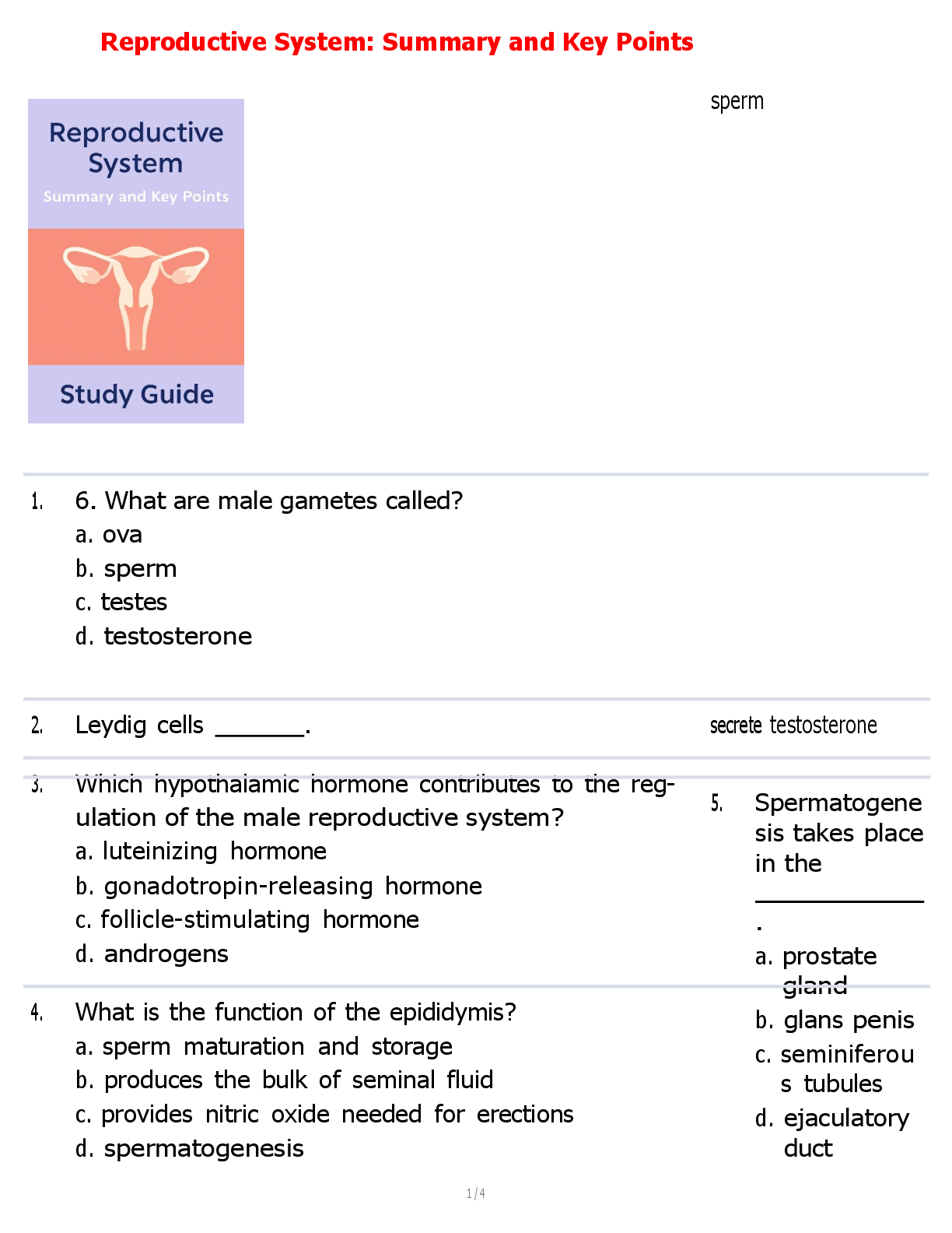 Preview image for Reproductive System: Summary and Key Points