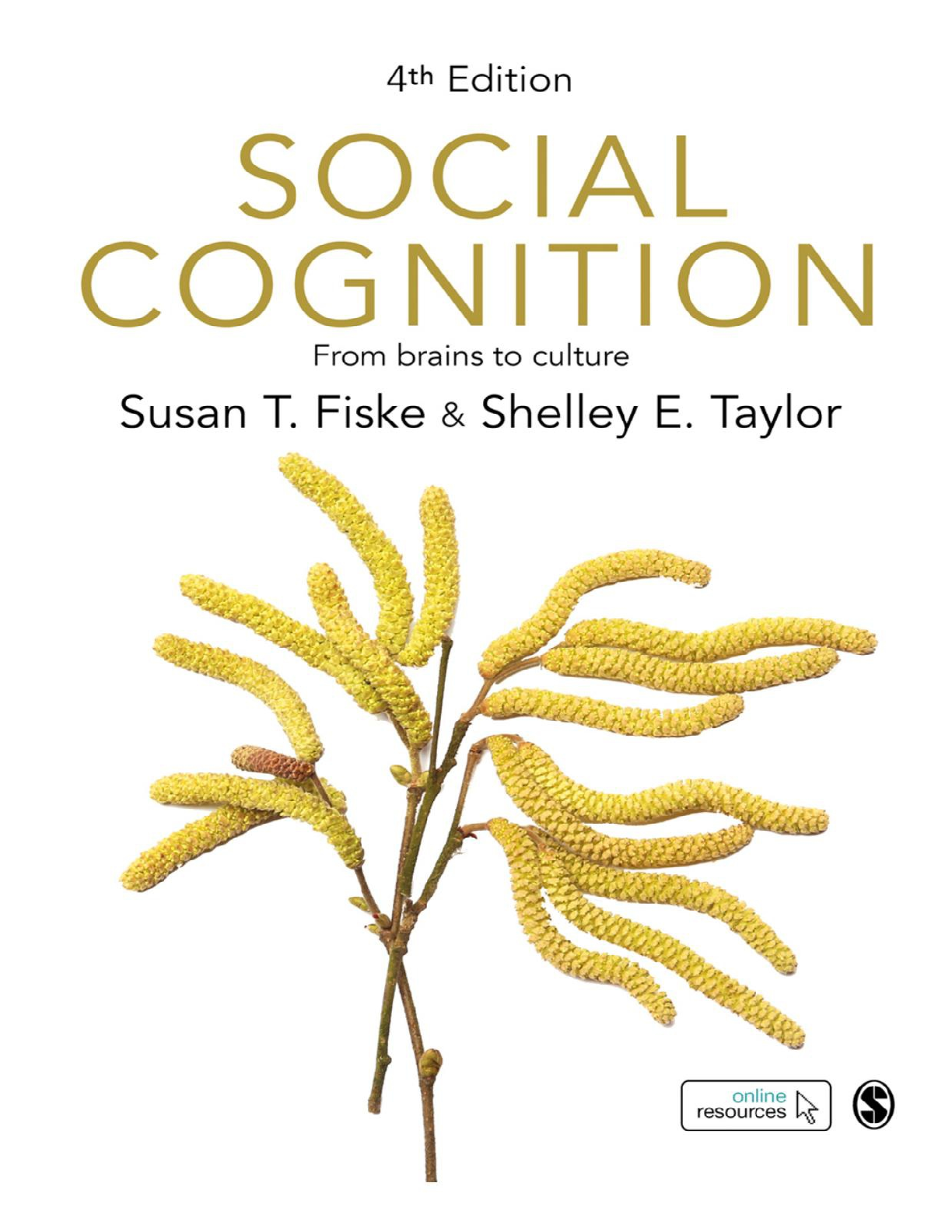 Preview of Social Cognition From brains to culture 4th Edition By Susan Fiske, Shelley Taylor