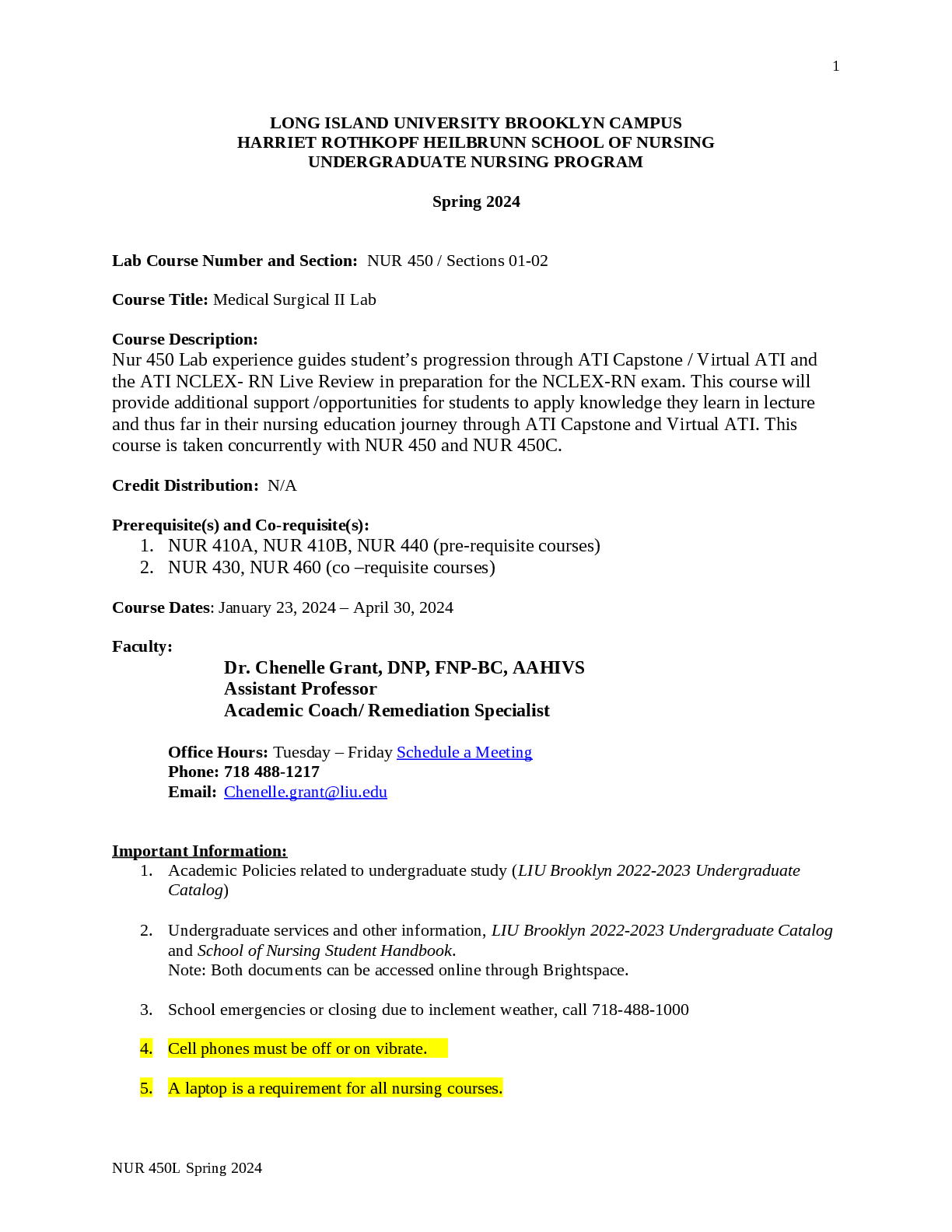 Preview image for LONG ISLAND UNIVERSITY BROOKLYN CAMPUS  HARRIET ROTHKOPF HEILBRUNN SCHOOL OF NURSING  UNDERGRADUATE NURSING PROGRAM