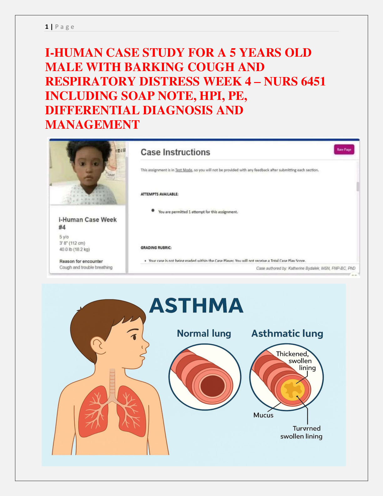 Preview image for I-HUMAN CASE STUDY FOR A 5 YEARS OLD  MALE WITH BARKING COUGH AND  RESPIRATORY DISTRESS WEEK 4 – NURS 6451  INCLUDING SOAP NOTE, HPI, PE,  DIFFERENTIAL DIAGNOSIS AND  MANAGEMENT